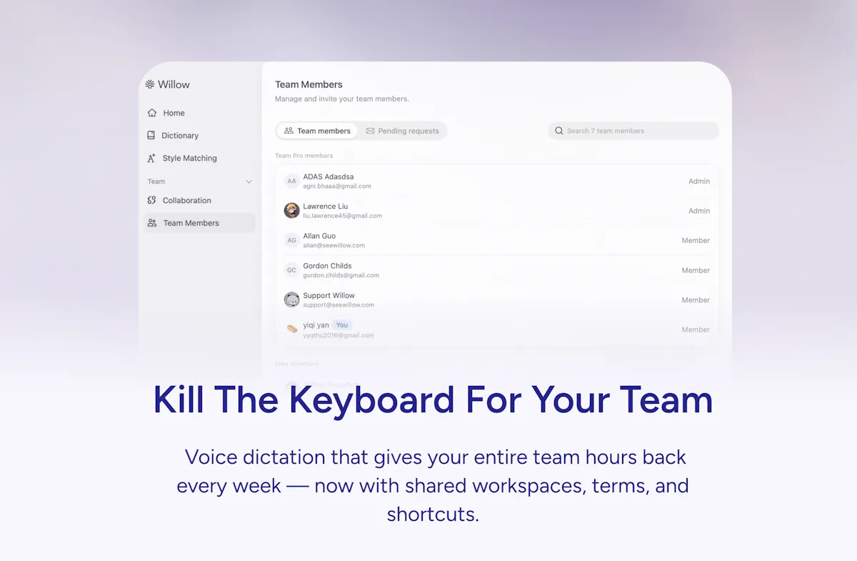 Willow Voice for Teams