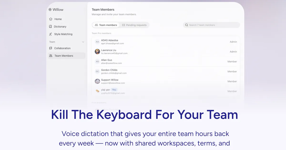 Willow Voice for Teams