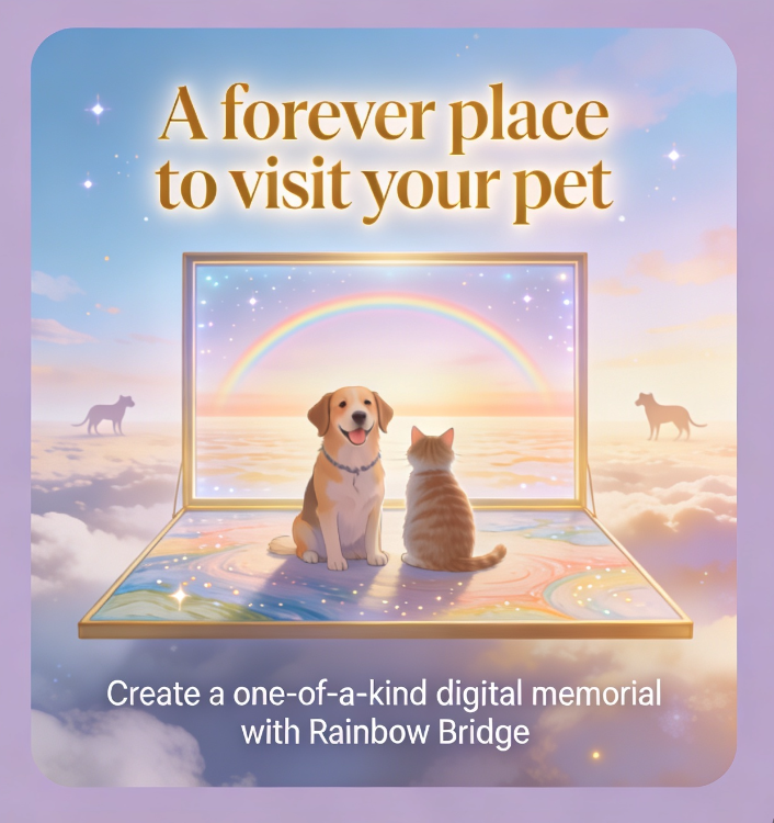 Rainbow Bridge – Pet Tribute AI World gallery image