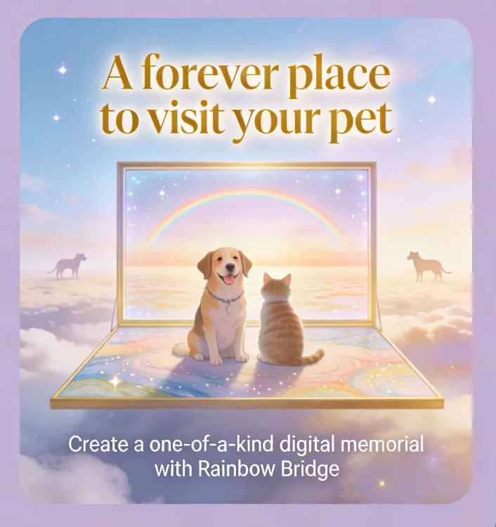 Rainbow Bridge – Pet Tribute AI World 專案橫幅