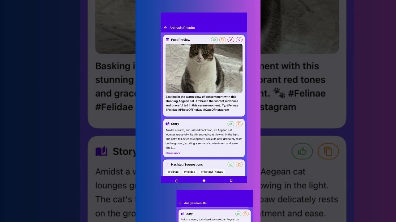 Photo Vision AI: Smart Caption gallery image