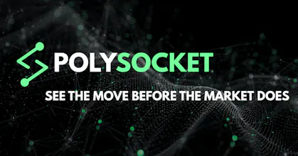 PolySocket gallery image