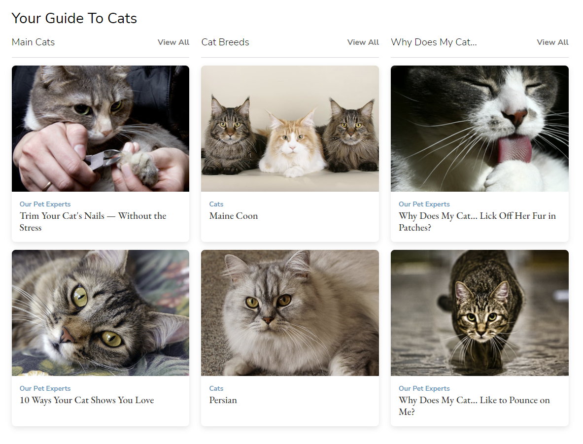 Vetstreet gallery image