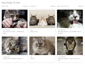 Vetstreet gallery image