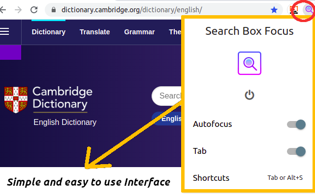 Search Box Focus gallery image