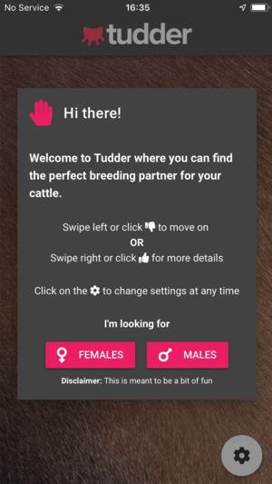Tudder gallery image