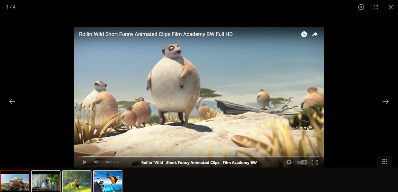 lightGallery gallery image