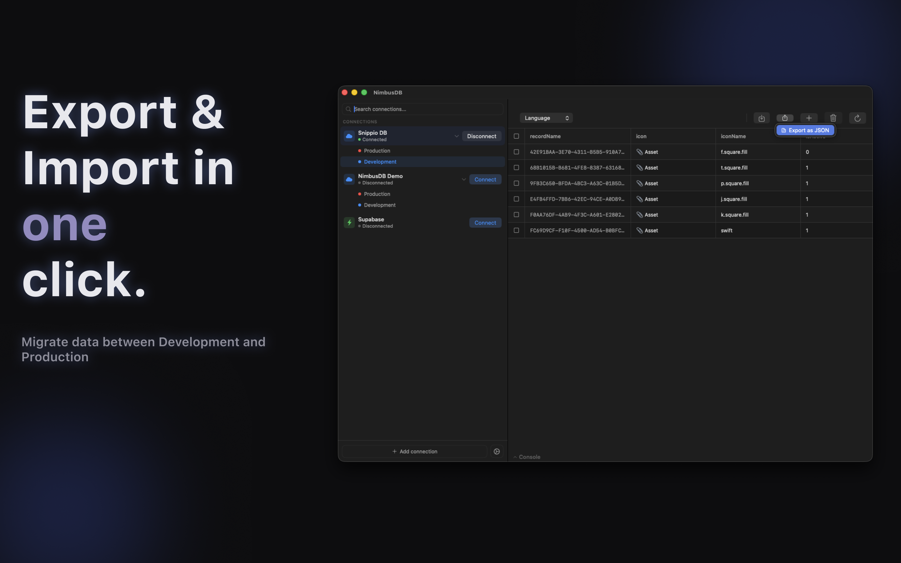 NimbusDB Studio gallery image