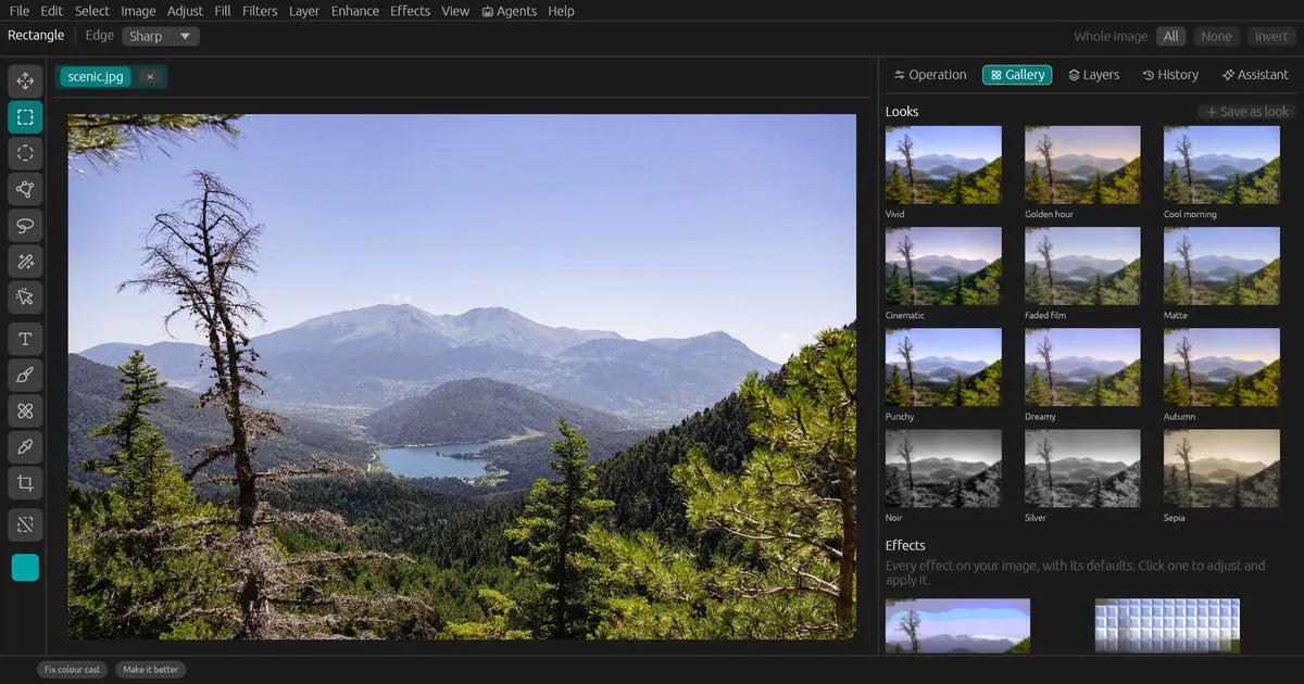 Pixtorium gallery image