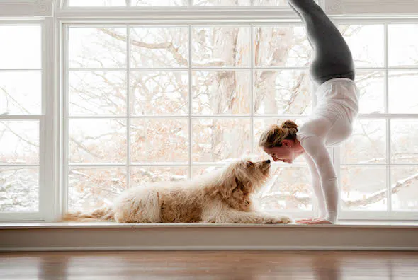 Yoga Tailor