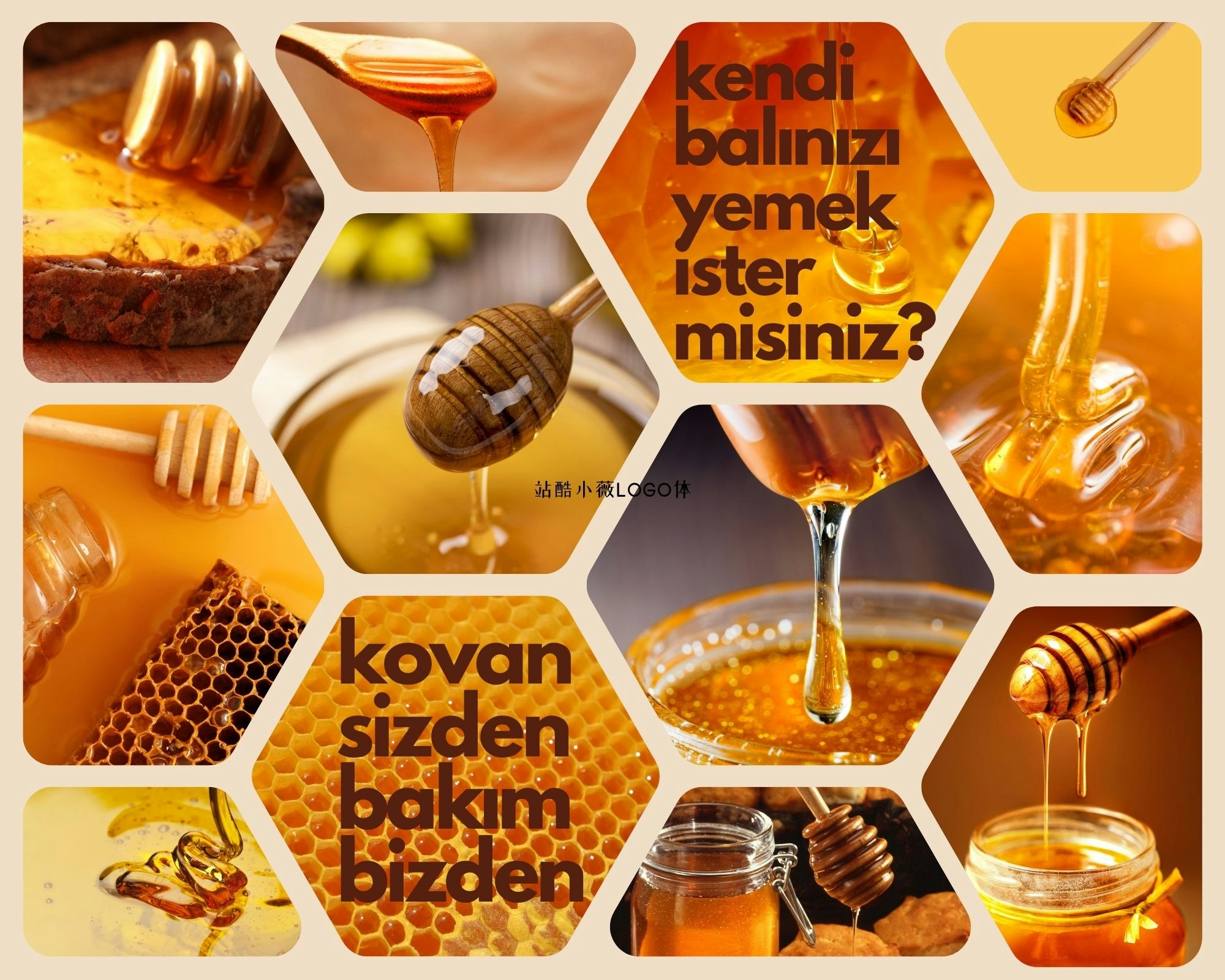 Media Honey Hive.Pengurusan sarang.Makan madu anda - Adakah anda ingin makan madu anda sendiri?Kami melihat sarang anda. 4