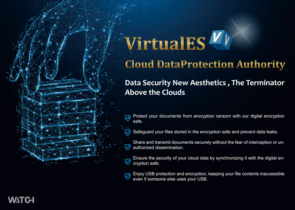 VirtualES gallery image