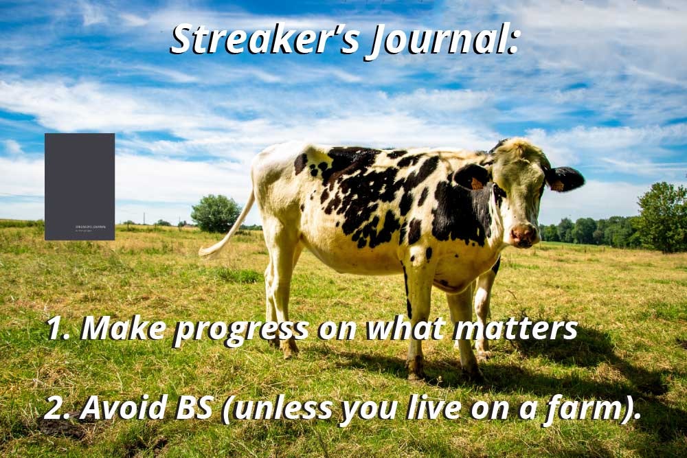 Streaker's Journal gallery image