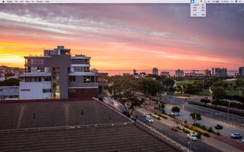 Shepherd gallery image