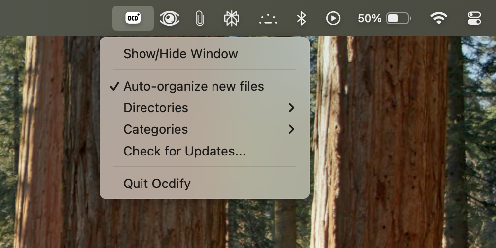 Mídia 6 de Ocdify - Organizador de arquivos alimentado por IA que respeita sua privacidade.