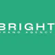 Web Development Service