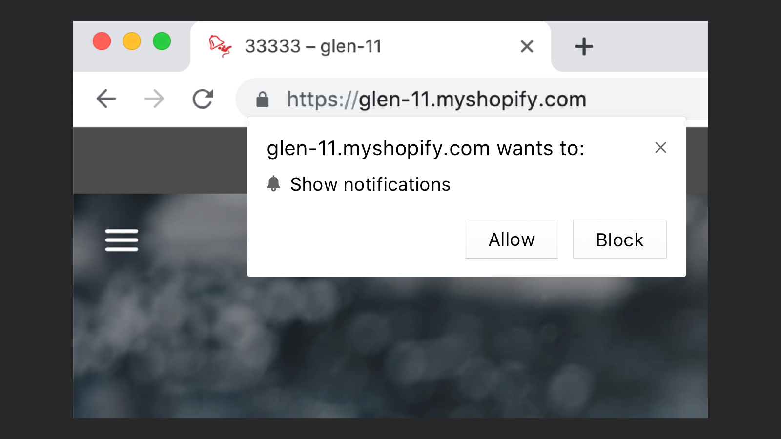 Shopify FREE Web Push Messages & Popups gallery image