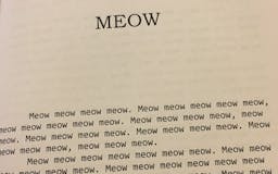 Meow media 2