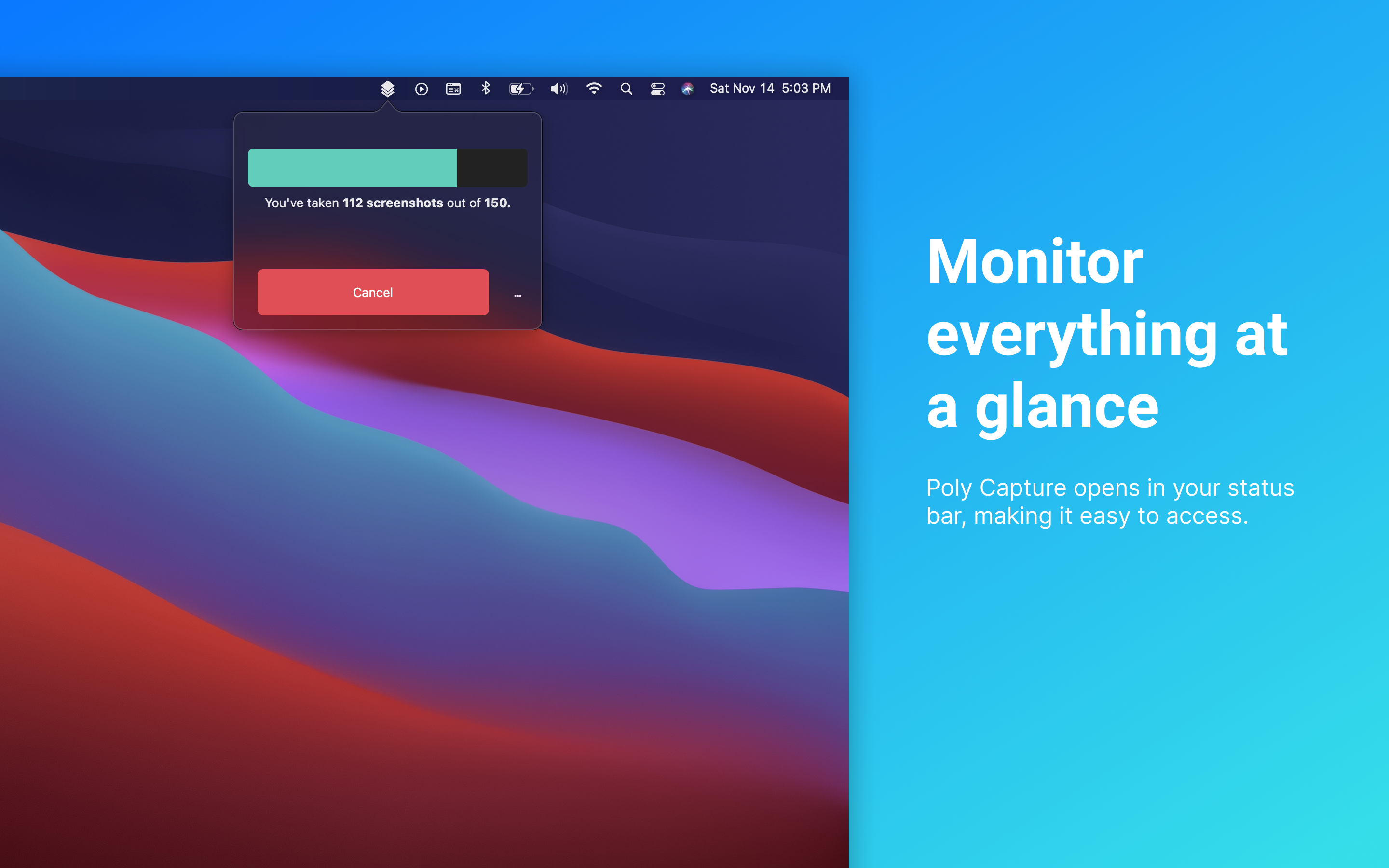 Poly Capture gallery image