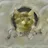 Pikazo