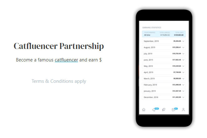 Catstream gallery image