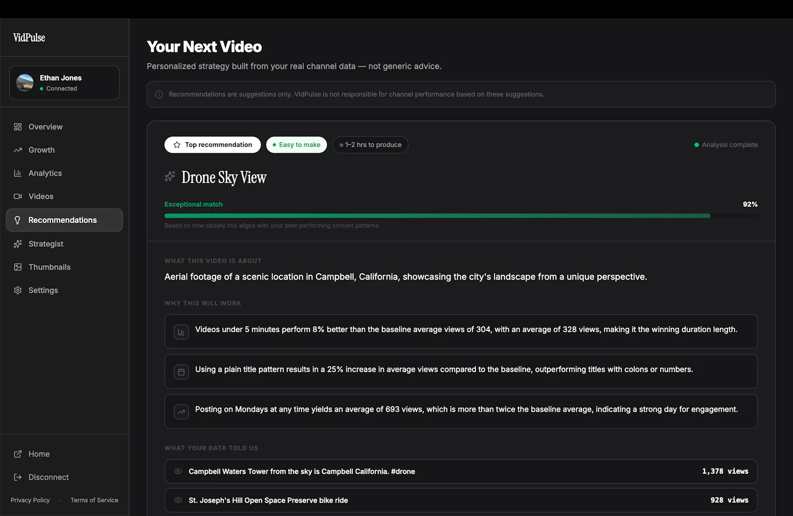 VidPulse screenshot 3