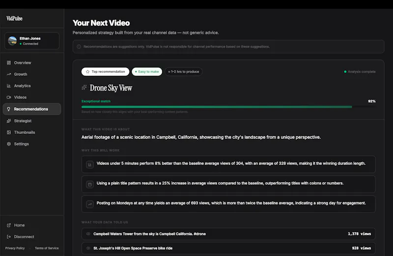 VidPulse screenshot 3