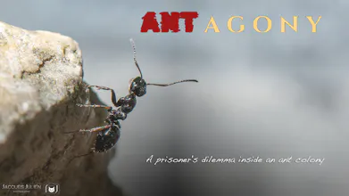 ANTagony – The Ant Prisoner's Dilemma gallery image