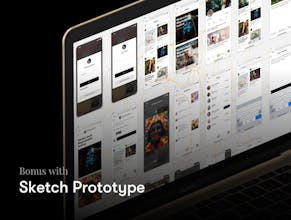 Flam iOS UI Kit gallery image