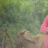 organiccowmilkinchennai