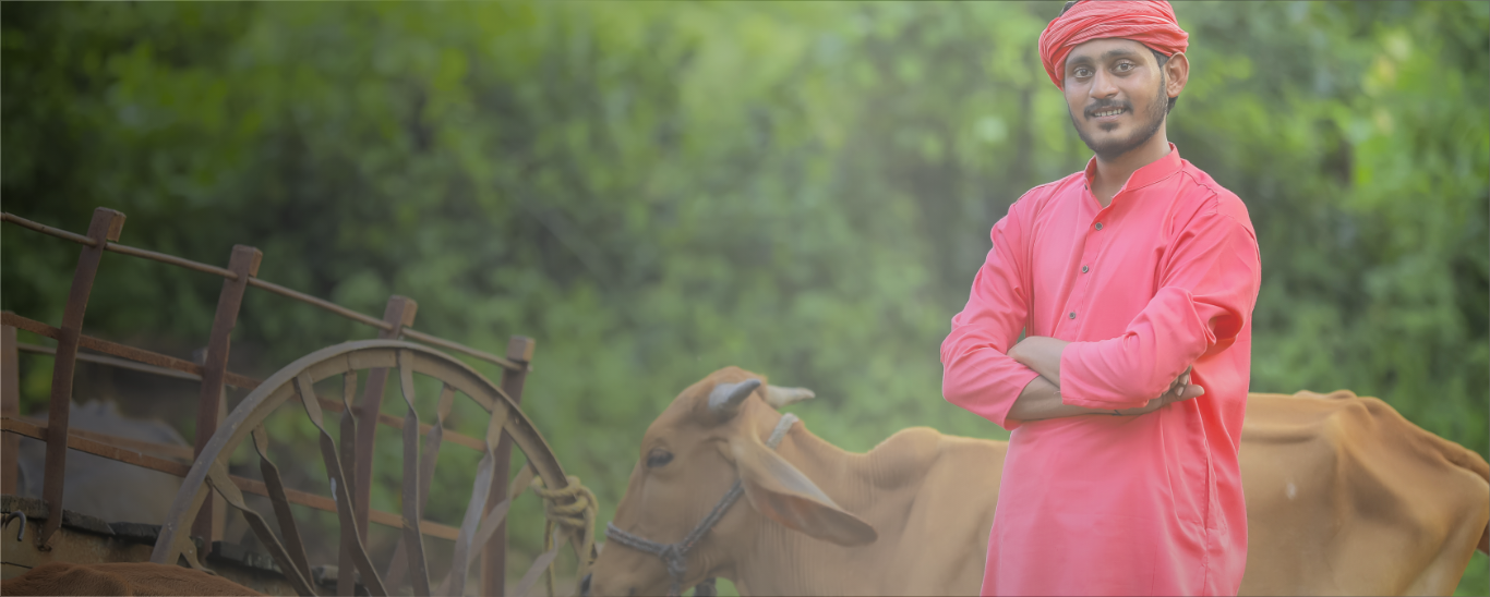 Organiccowmilkinchennai