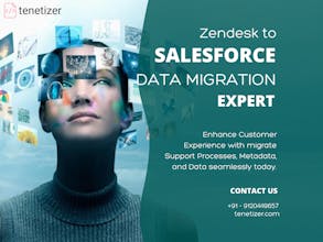 Tenetizer Salesforce Integration Product gallery image