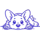 Sploothy