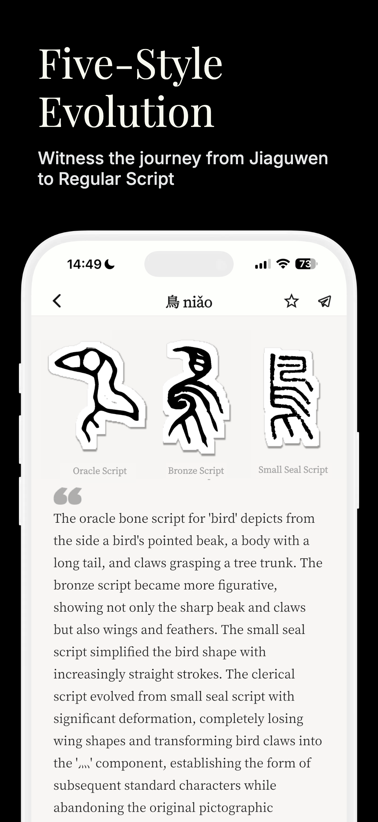 Chinese Oracle gallery image
