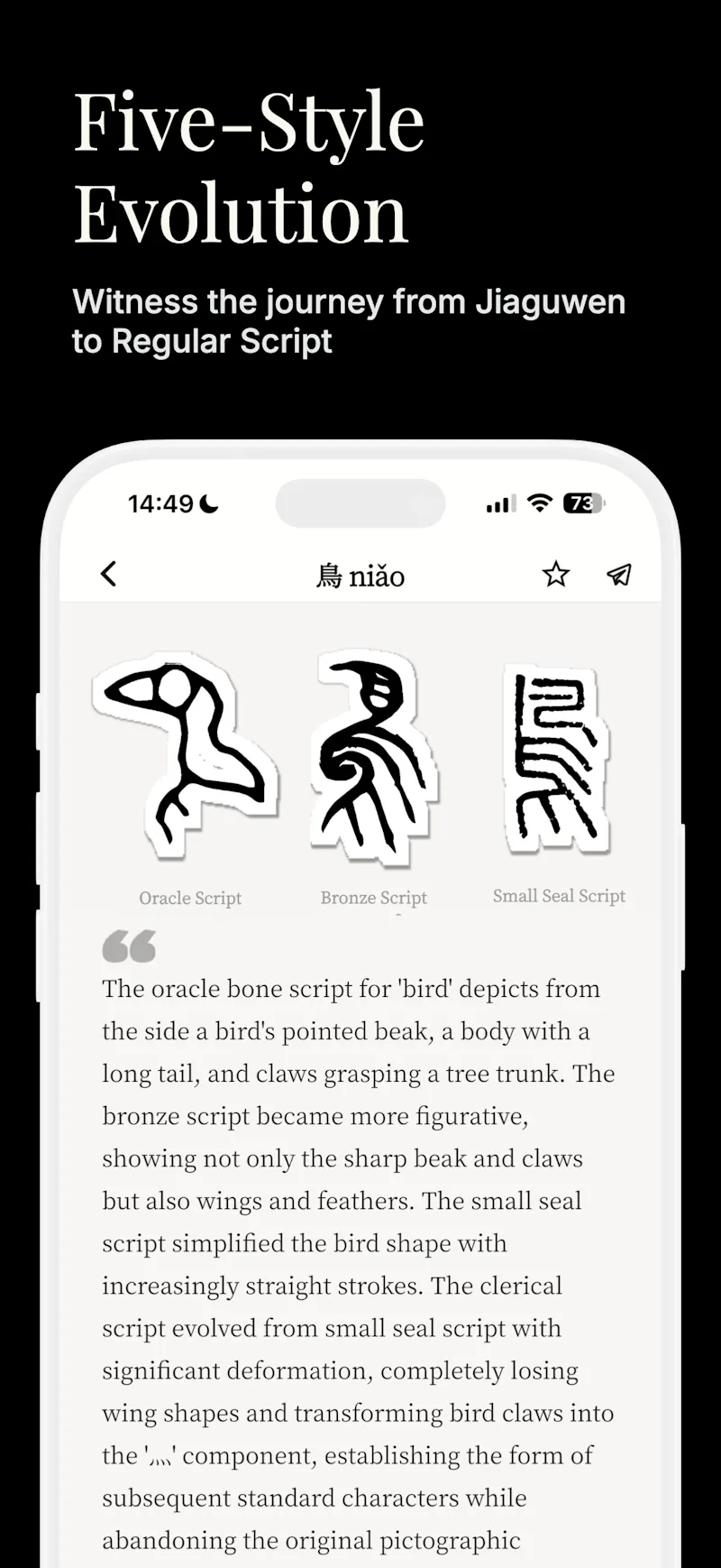 Chinese Oracle screenshot 2