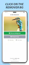 AI BG Remover gallery image