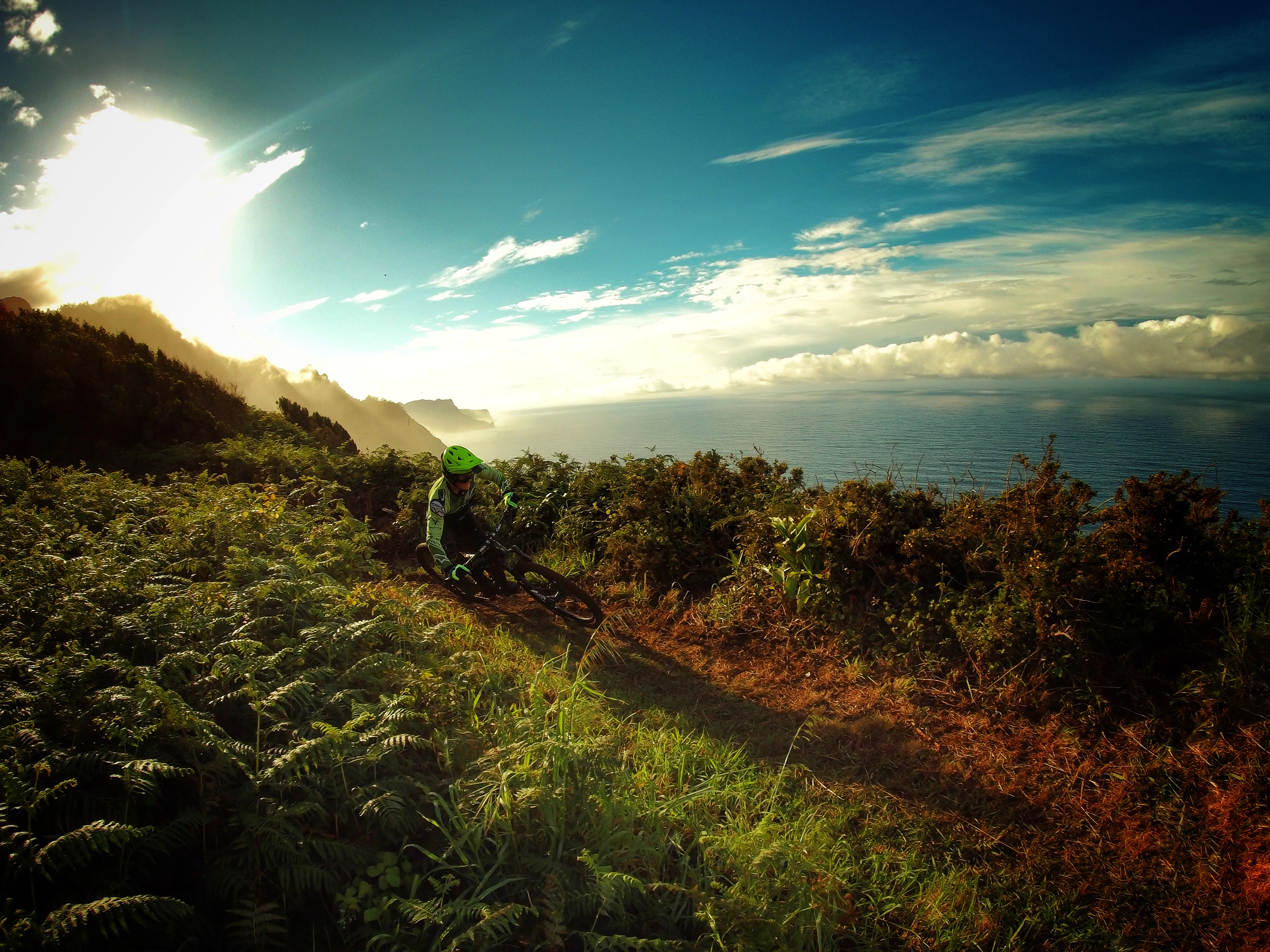 Firas Kittaneh cover