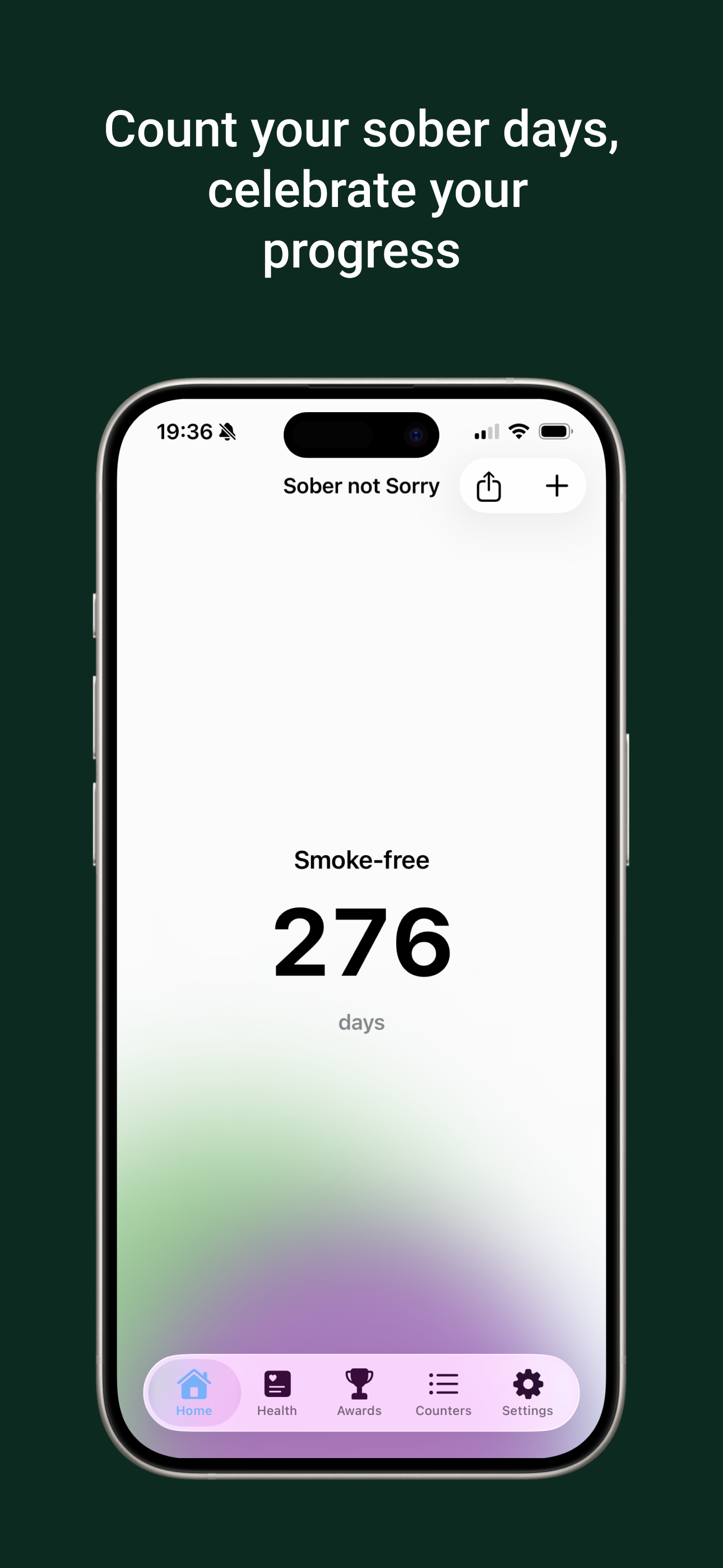 Sober not Sorry gallery image