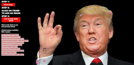 Dick on Trump gallery image