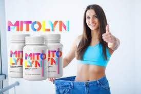 Mitolyin: Everything... logo
