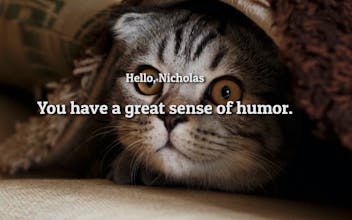 Say Something Nice gallery image