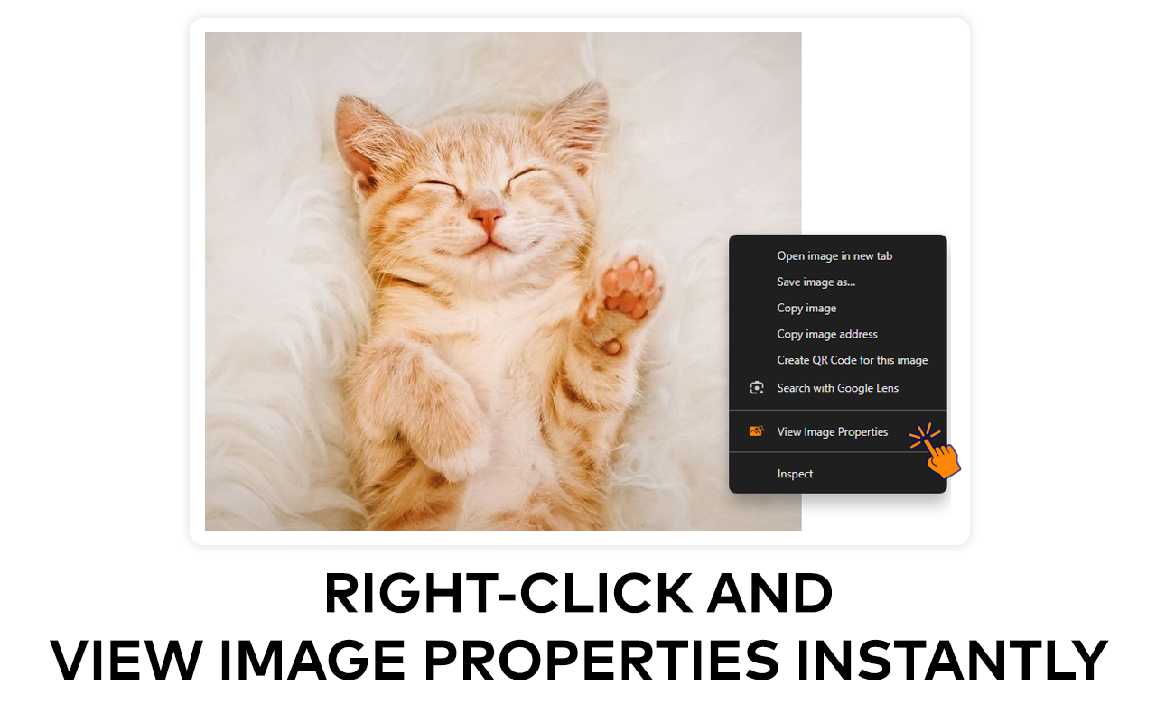 View Image Properties media 1