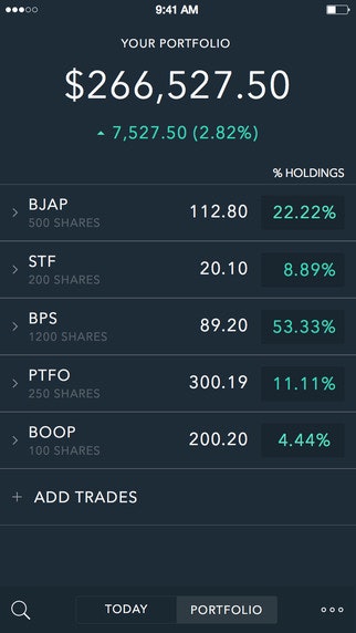 Portfolio gallery image