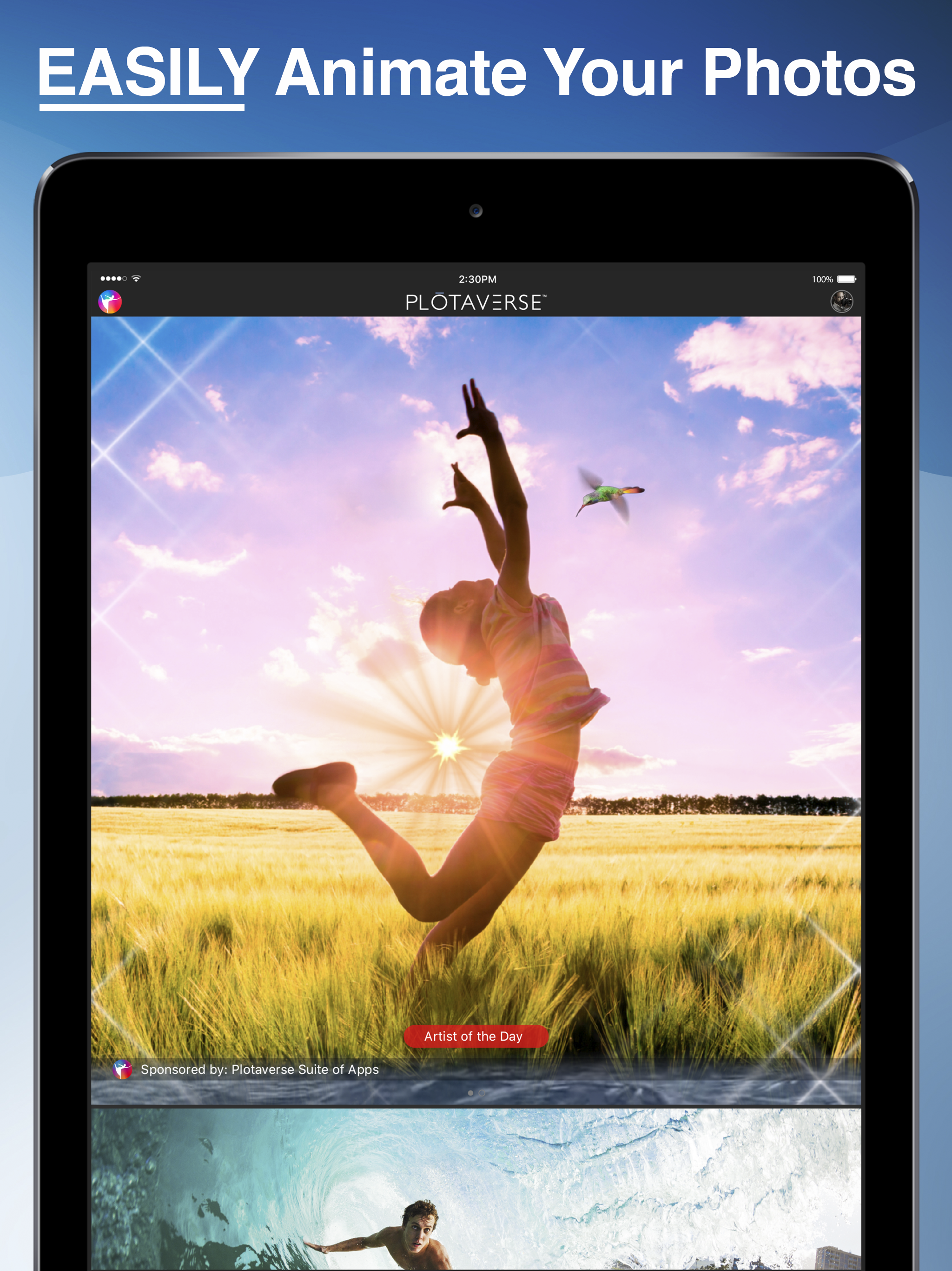 Plotaverse gallery image