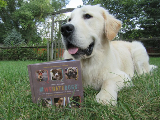 #WeRateDogs Book gallery image
