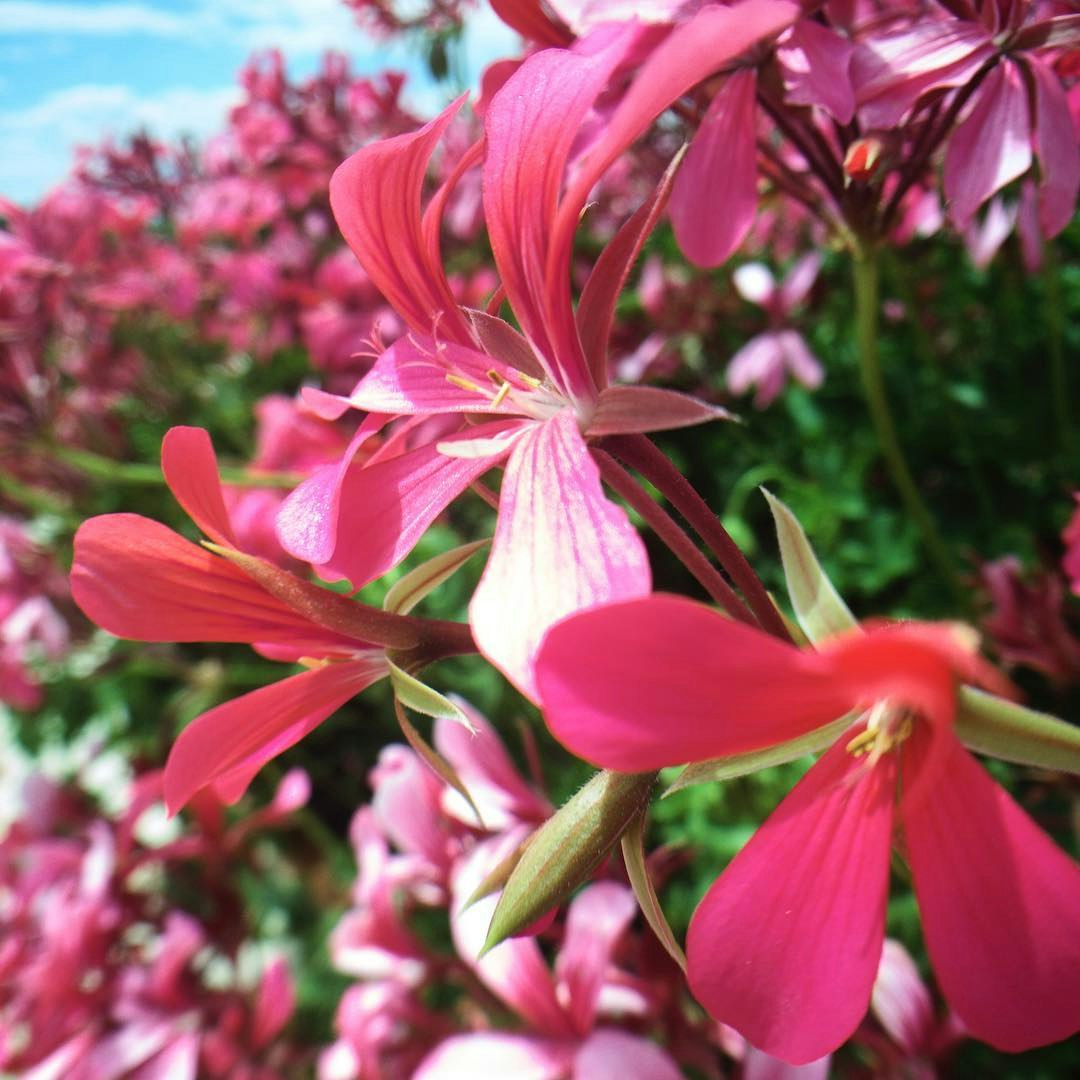 Reuk update 1.3 gallery image