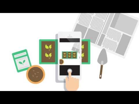 EasyStore gallery image