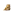 AbbyTerm