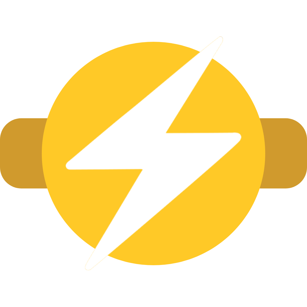 DM Flash logo