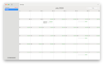 Budget Seer gallery image